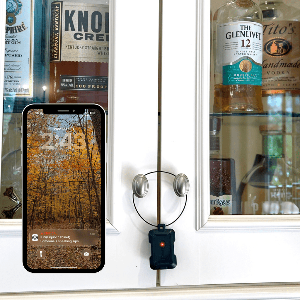 Kini SafeAlert – Manipulationserkennungsgerät mit Echtzeit-SMS, E-Mail und Push-Benachrichtigungen via Wi-Fi