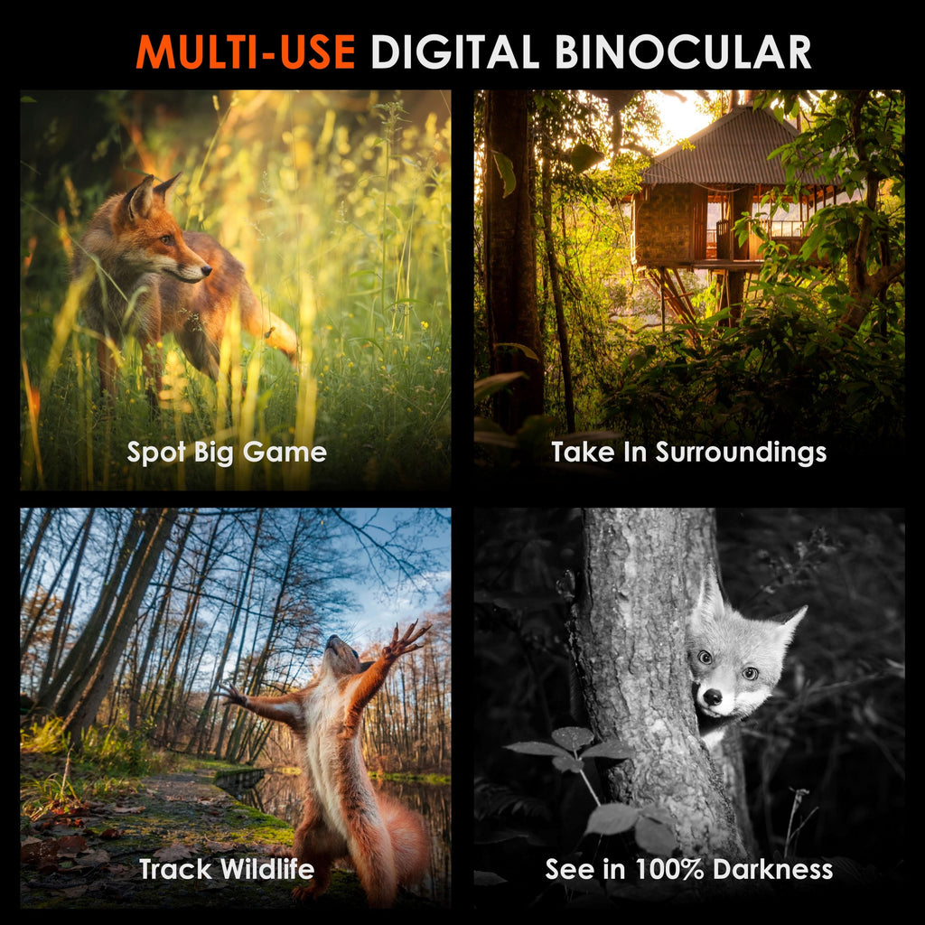 Rexing B1 Pro – Digitales 4K-IR-Nachtsicht-Fernglas