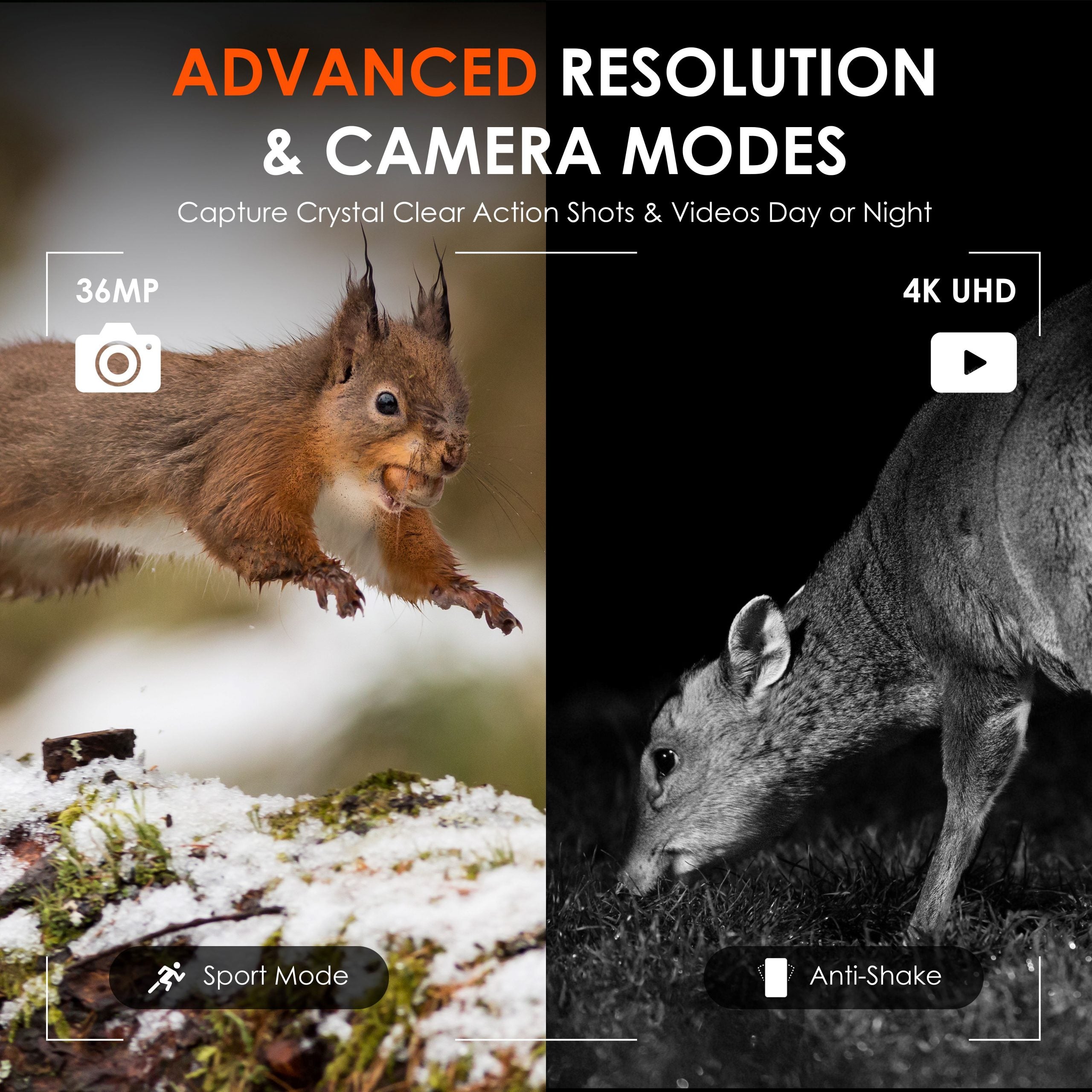 Rexing B1 Pro – Digitales 4K-IR-Nachtsicht-Fernglas