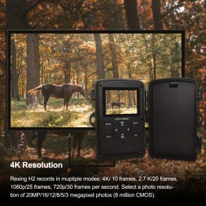Rexing Woodlens H2 4K Wi-Fi Wildkamera (1er-Pack)