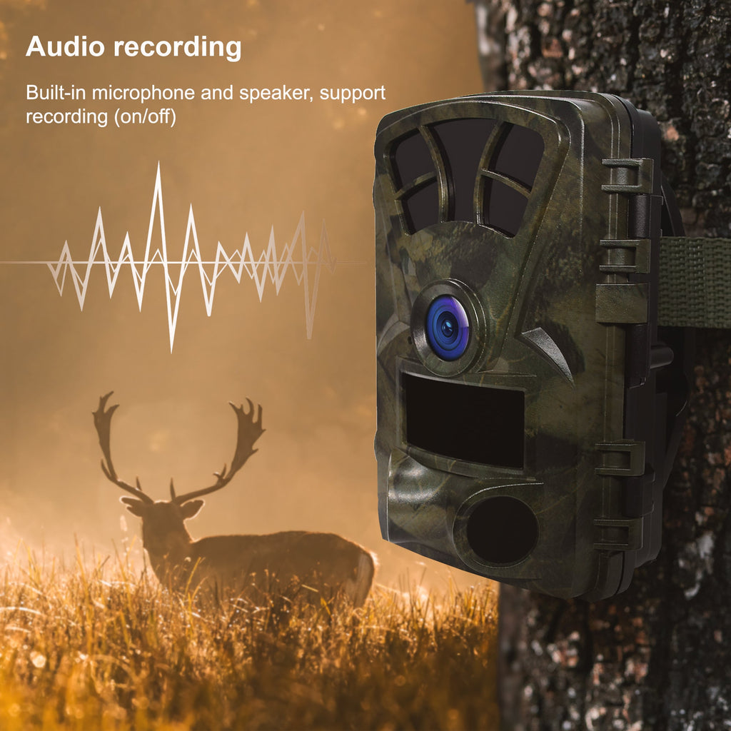 Rexing Woodlens H2 4K Wi-Fi Wildkamera (1er-Pack)