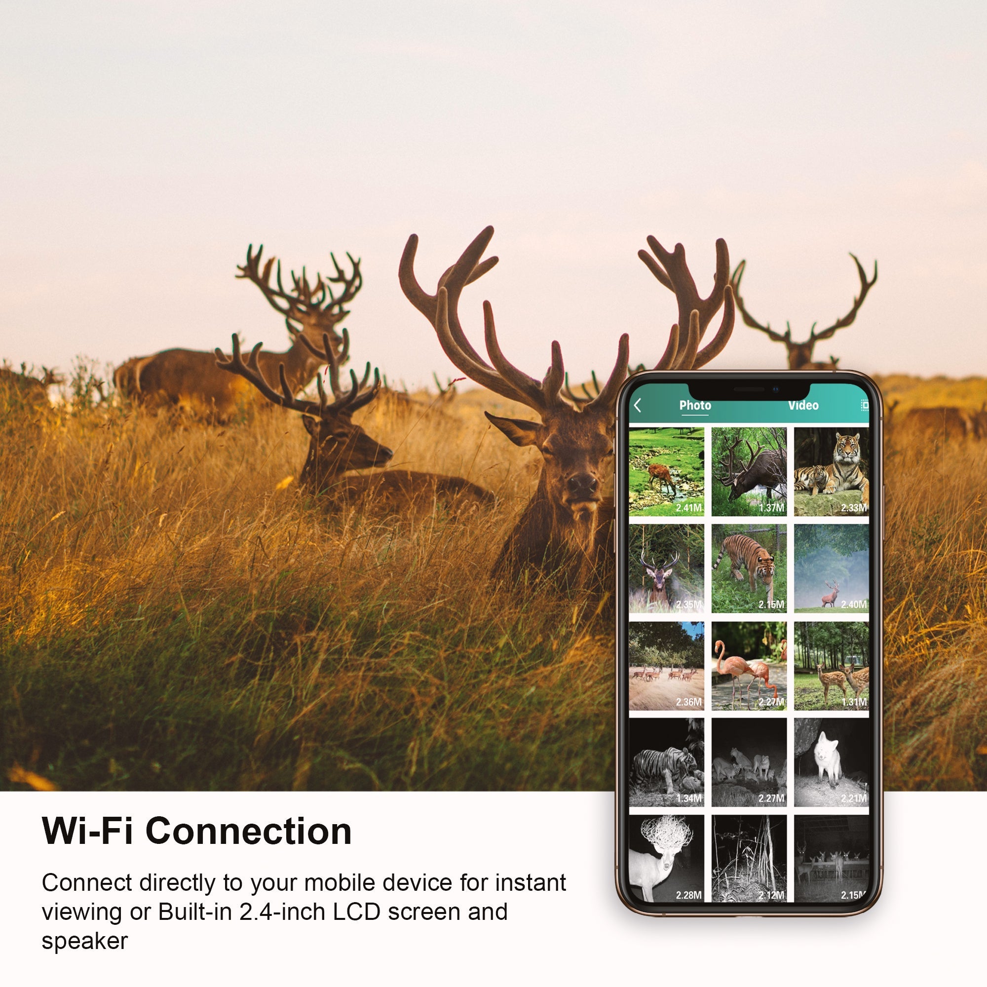 Rexing Woodlens H2 4K Wi-Fi Wildkamera (1er-Pack)