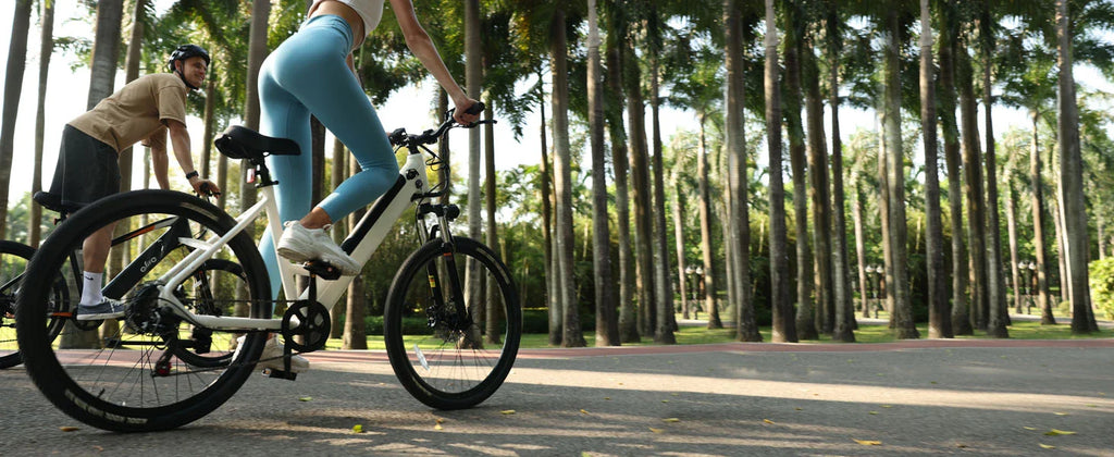 eBike Boys 750W E-Bike - Tiefeinsteigerrahmen, 36V Akku