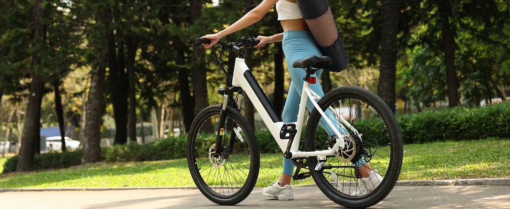 eBike Boys 750W E-Bike - Tiefeinsteigerrahmen, 36V Akku