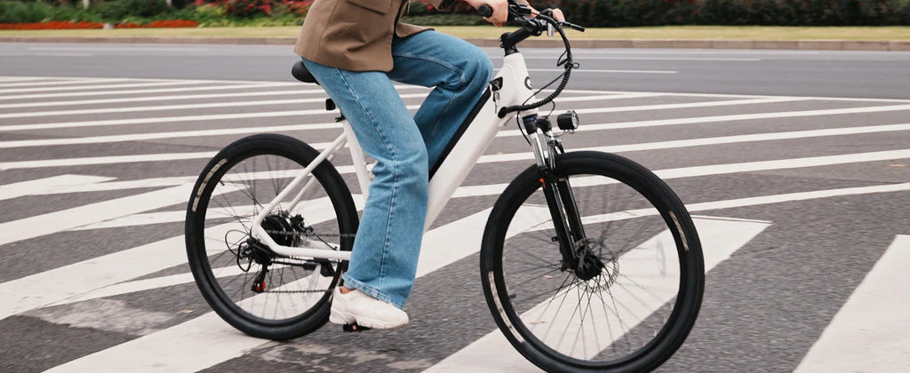 eBike Boys 750W E-Bike - Tiefeinsteigerrahmen, 36V Akku
