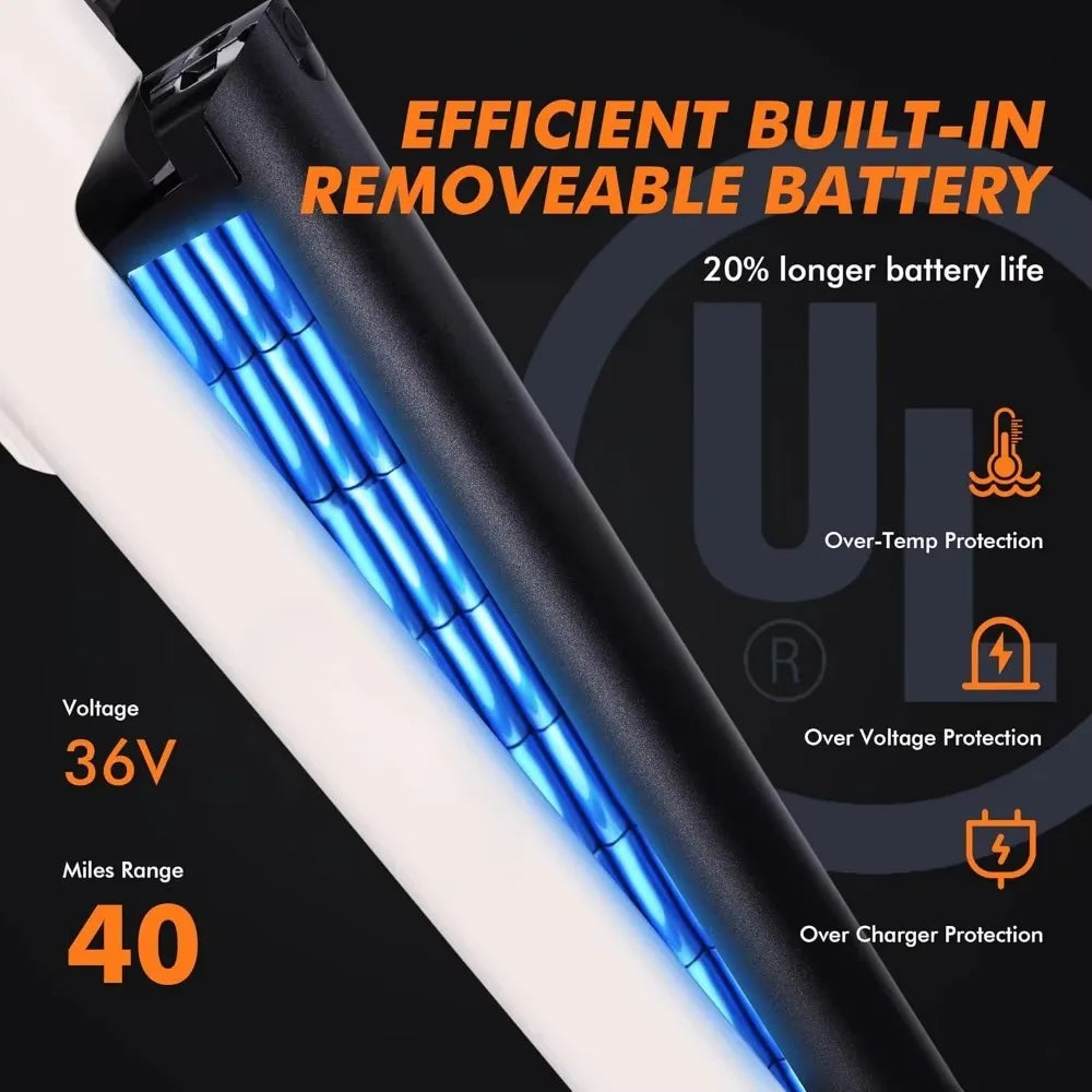 eBike Boys 750W E-Bike - Tiefeinsteigerrahmen, 36V Akku