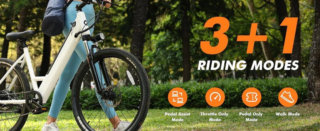 eBike Boys 750W E-Bike - Tiefeinsteigerrahmen, 36V Akku