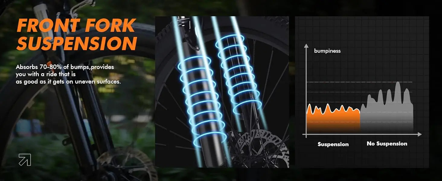 eBike Boys 750W E-Bike - Tiefeinsteigerrahmen, 36V Akku