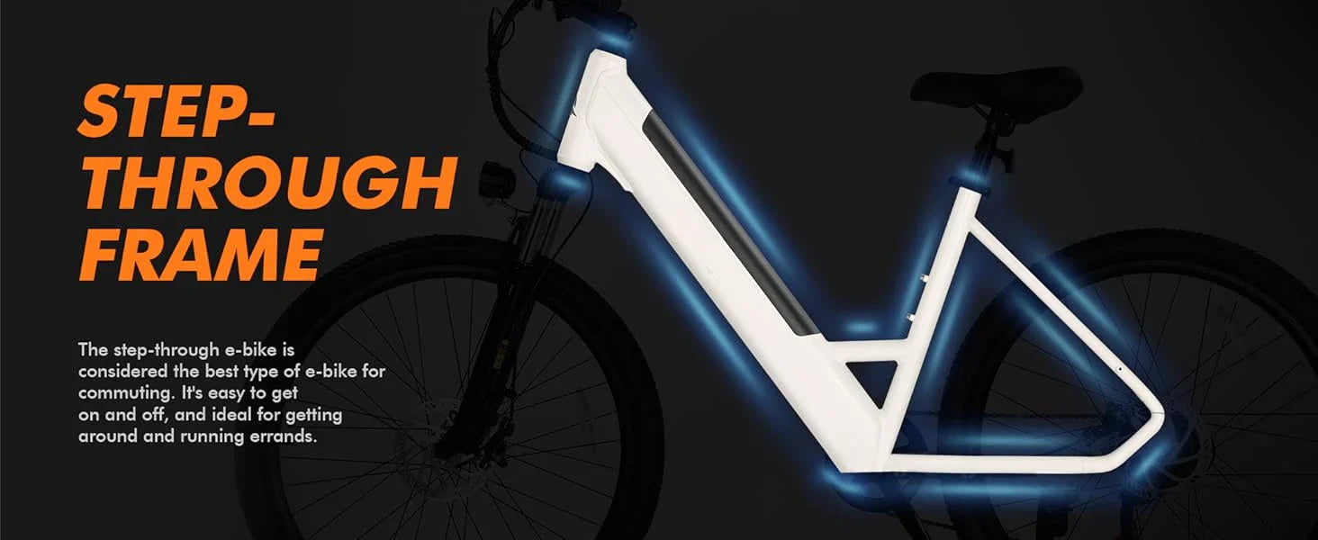 eBike Boys 750W E-Bike - Tiefeinsteigerrahmen, 36V Akku