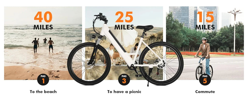 eBike Boys 750W E-Bike - Tiefeinsteigerrahmen, 36V Akku