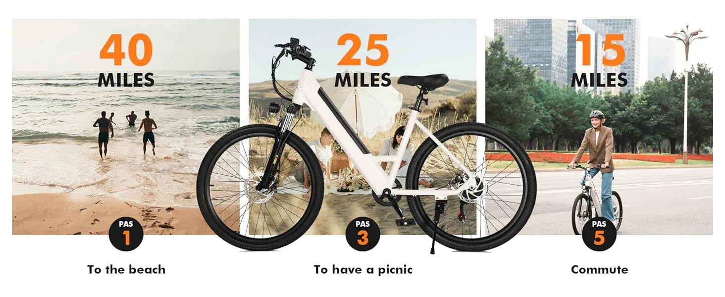 eBike Boys 750W E-Bike - Tiefeinsteigerrahmen, 36V Akku